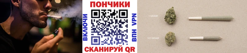 Шишки марихуана семена  Борзя 